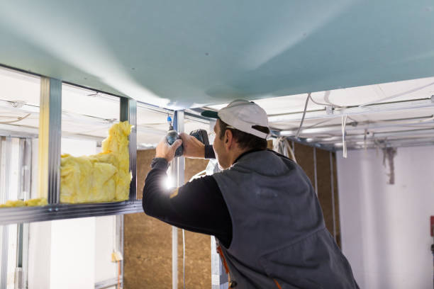 Best Spray Foam Insulation in Girard, IL